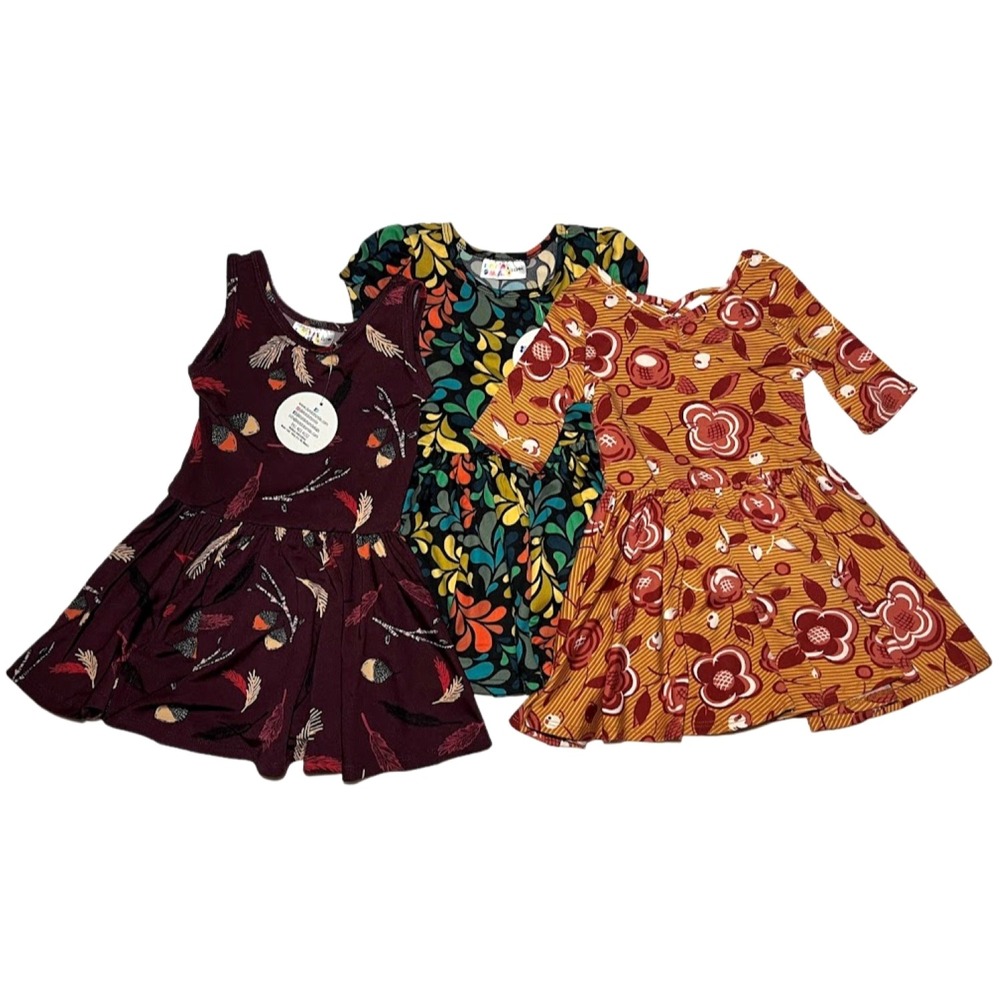 Dot Smile Baby Girl 12 18 24 Mo Dress Lot 3pc Fall Leaf Floral Feather Theme NWT